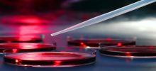 27th Annual Mayo Clinic Hematology/Oncology Reviews 2017: Fernandina Beach, Florida, USA, 17-19 August 2017 27th Annual Mayo Clinic Hematology/Oncology Reviews 2017: Fernandina Beach, Florida, USA, 17-19 August 2017